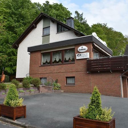 Pension Haus Am Waldesrand シーダー・シュヴァレンベルク エクステリア 写真